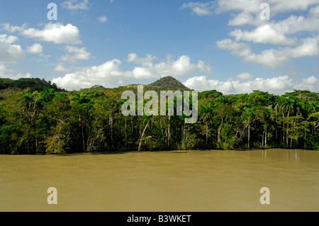 Mittelamerika, Panama, Panama-Kanal. Tropischen Lebensraum entlang der Panamakanal-Zone in der Nähe von Pedro Miguel Lock. Stockfoto