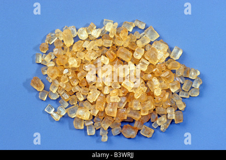 Zuckerrohr Zuckerrohr (Saccharum Officinarum) brauner Zucker Studio Bild Stockfoto