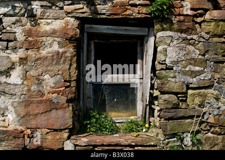 Alte Fenster und Wand der verlassenen Croft Haus jetzt verwendet als tierische Scheune, Durness, Schottland Stockfoto