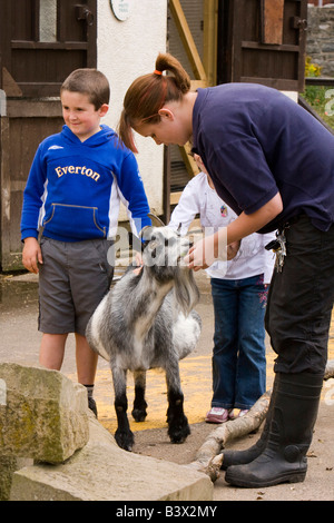 UK Wales Clwyd Colwyn Bay Welsh Mountain Zoo zwei Kleinkinder schwangere Ziege streicheln Stockfoto