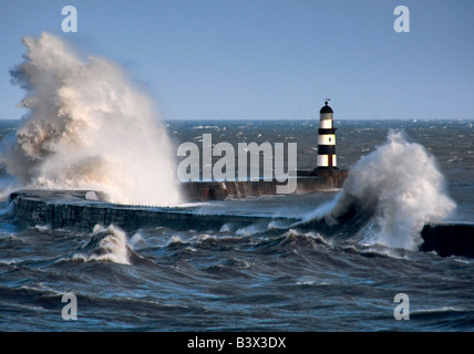 Wellen, die vom Leuchtturm, Seaham, Teesside, England Stockfoto