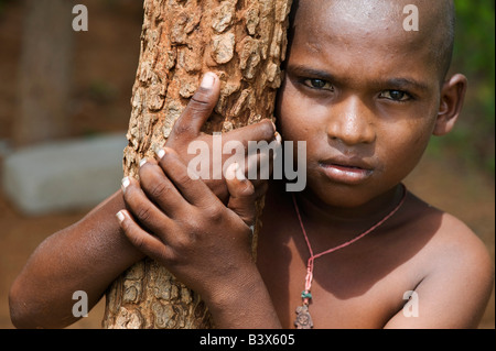 Indischen jungen Baum gelehnt Stockfoto