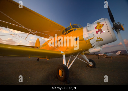 Antonov An-2 Doppeldecker Stockfoto