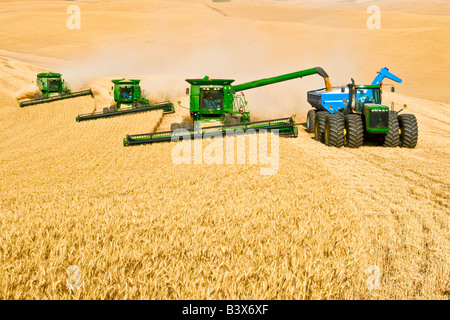 Ein Team von verbindet Ernte Getreide auf den Hügeln der Palouse Region Washington Stockfoto