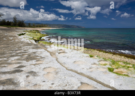 Haleiwa Strandpark Oahu Pazifik Hawaii USA Stockfoto