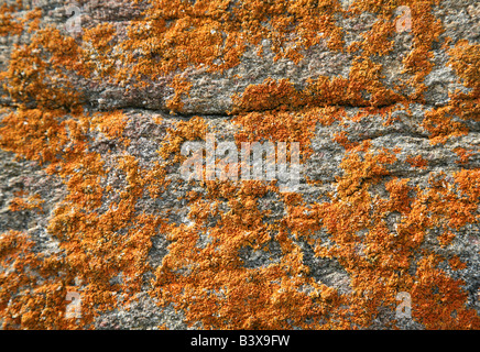 Boulderwand das Solovetsky Kloster auf den Solovetsky Inseln im Weißen Meer, Russland Stockfoto