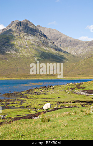 Die Straße nach Elgol grenzt an Loch ich Isle Of Skye Schottland Stockfoto