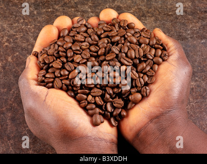 MANN, GERÖSTETE KAFFEEBOHNEN Stockfoto