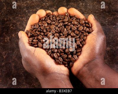 MANN, GERÖSTETE KAFFEEBOHNEN Stockfoto