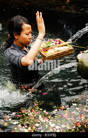 Dame, die das beten in die heiligen Quellen von Tirta Empul, Pura Tirta Empul(temple) Tampak Zeugung, Ubud Bereich, Bali, Indonesien Stockfoto