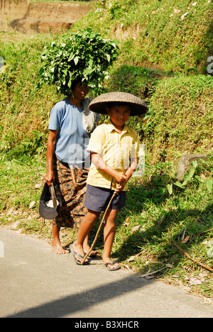 Bali Aga ethnische Minderheit, Bali Aga Dorfleben, Frauen, die waren auf ihren Kopf, Julah, Bali Aga Dorf, Nordbali Stockfoto