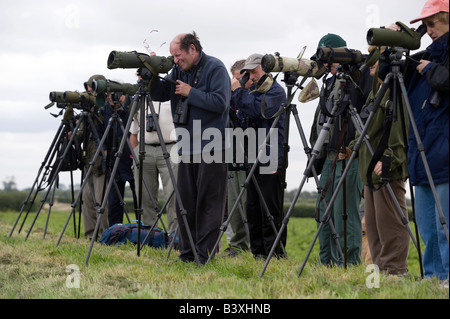 Eine Gruppe von Twitchers bewaffnet mit Teleskopen auf Stative Look für einen seltenen Vogel in der Nähe von York Yorkshire UK Stockfoto