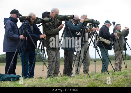 Eine Gruppe von Twitchers bewaffnet mit Teleskopen auf Stative Look für einen seltenen Vogel in der Nähe von York Yorkshire UK Stockfoto