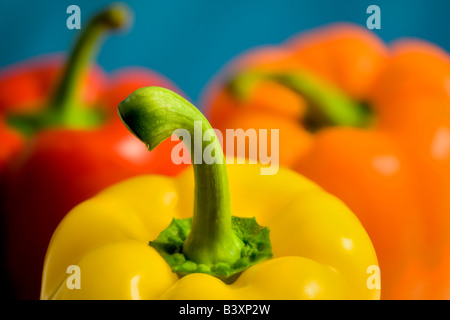 Verschiedene bunte Paprika Stockfoto
