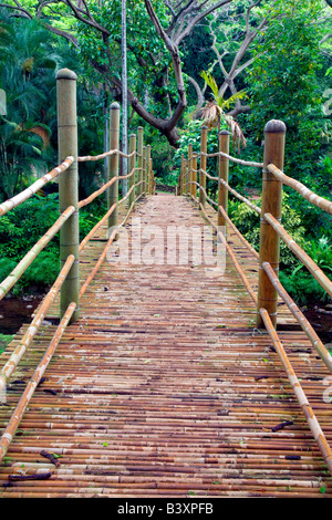 Bambus-Brücke in National Tropical Botanical Garden Kauai Hawaii Stockfoto