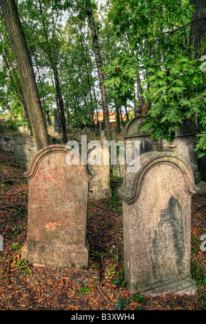 Alter jüdischer Friedhof bei Kolin - eines der ältesten Wahrzeichen dieser Art in Böhmen. Jüdischer Friedhof aus dem 15. Jahrhundert. Stockfoto