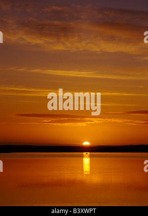 dh Loch of Harray STENNESS ORKNEY Swan und Sonnenuntergang im Lochside Naturschutzgebiet orange Dämmerung Himmel Sonne Sonnenuntergang romantisch launisch ruhigen schottland Sommer Stockfoto