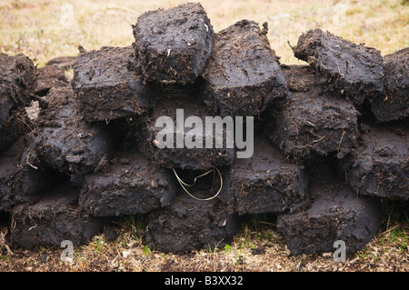 Haufen von frischen Torf Stecklinge trocknen in der Sonne, Isle Of Skye, Schottland Stockfoto