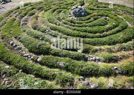 Prähistorische Steinlabyrinth auf den Zayatsky Inseln in der Nähe der Solovetsky Inseln im Weißen Meer, Russland Stockfoto