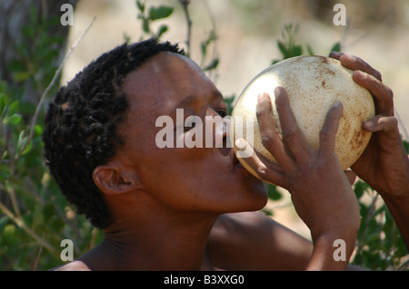 San Bushman, trinken, Namibia, Afrika Stockfoto