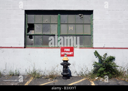 Urban Decay verlassene Gebäude Unkraut zerbrochene Fenster Stockfoto