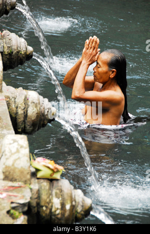 Dame, die Baden in die heiligen Quellen von Tirta Empul, Pura Tirta Empul(temple), Tampak Zeugung, Ubud Bereich, zentral-Bali, Indonesien Stockfoto