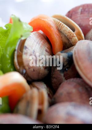 frische Muscheln mit Gemüse bereit, Kochen Stockfoto