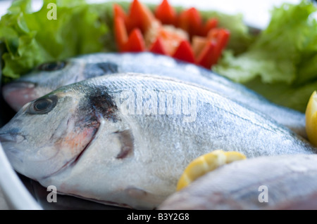 frischer Seebarsch mit Gemüse bereit, Kochen Stockfoto