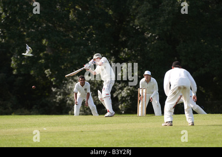 Easton Cowboys & Cowgirls Club spielen Cricket auf er Park Bristol mit Vogel fliegt vorbei Stockfoto