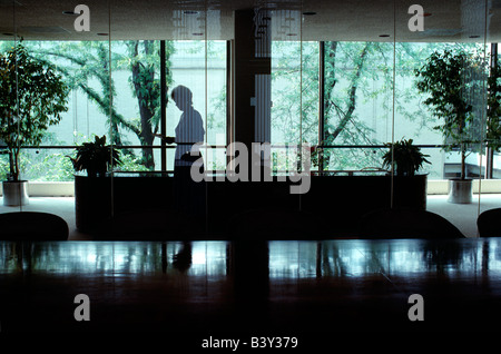 Silhouette der Frau in Glas ummauerten Unternehmens Vorhalle Eingang Stockfoto