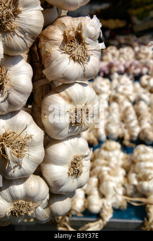 Eine Nahaufnahme von einem Kranz von Knoblauch auf eine Knoblauch-Stall in der alten Stadt Nizza Frankreich Stockfoto