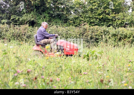 Rasenmähen auf Reiten-auf Rasenmäher Mann Stockfoto