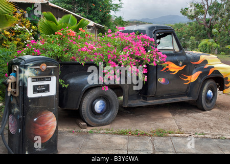 Alten Pickup-Truck mit Bougainvillea-Blüten im Bett Kauai Hawaii Stockfoto