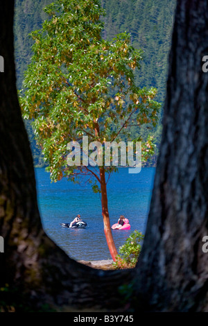 Mädchen Palying in Lake Crescent Olympic Nationalpark Washington Stockfoto