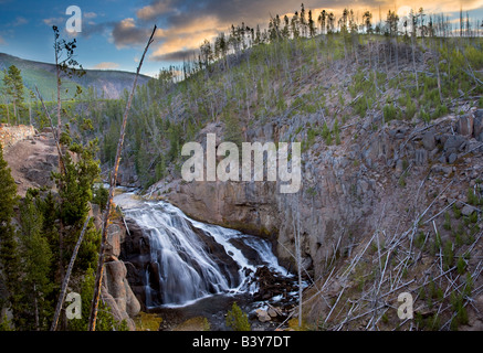 Gibbon Falls bei Sonnenaufgang Yellowstone Nationalpark, WY Stockfoto