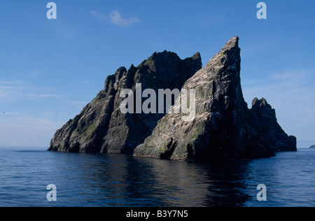 Schottland, äußeren Hebriden, St. Kilda. Stac Lee gebeizt weiß von der Masse der Basstölpel Stockfoto