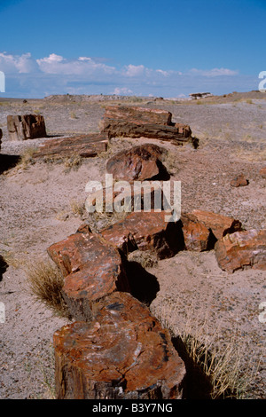 Nordamerika, USA, Arizona, versteinerte Wald Nationalpark. Versteinertes Holz von Giant Logs Trail gesehen. Stockfoto