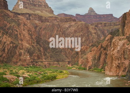 USA, Arizona, Grand Canyon NP.  Der Colorado River schlängelt sich vorbei an Phantom Ranch und ein Wanderer Hängebrücke. Stockfoto