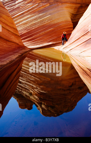 Ein Fotograf bei der Welle in die Paria Canyon-Vermilion Cliffs Wilderness Area (MR) Stockfoto