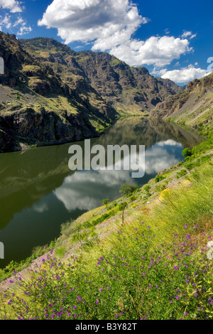 Reflexion in Hölle s Canyon Dam Hölle s Canyon National Recreation Bereichen Oregon-Idaho Stockfoto