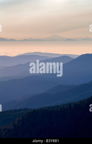 Sonnenaufgang und Nebel mit Mt Baker entnommen Hurricane ridge Olympic Nationalpark Washington Stockfoto