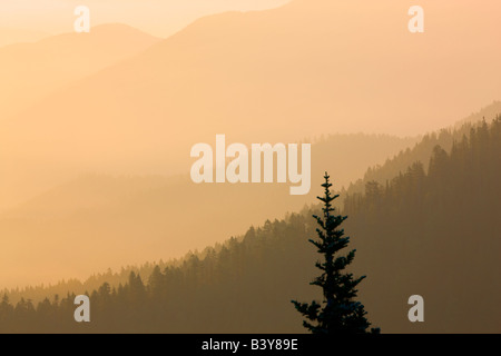 Sunrise und Nebel Taken von Hurricane Ridge Olympic Nationalpark Washington Stockfoto