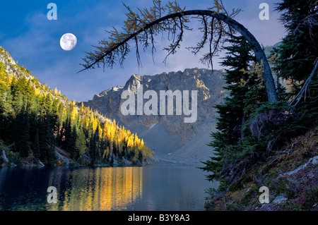 Blue Lake mit Tamarack oder Lärche Bäume in Herbstfarben und Mond reflektiert. Stockfoto