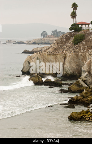 USA, Kalifornien, Pismo Beach. Foggy Pelican Point mit Fülle von braune Pelikane.  Wellen auf den Klippen Stockfoto