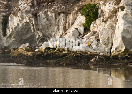 USA, Kalifornien, Pismo Beach. Bei Ebbe haben Zugriff auf Klippen und Gezeiten-pools Stockfoto