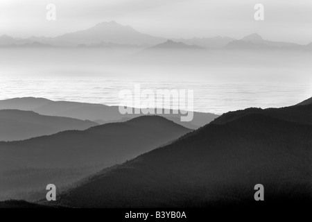 Sonnenaufgang und Nebel mit Mt Baker entnommen Hurricane ridge Olympic Nationalpark Washington Stockfoto