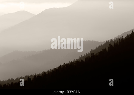 Sunrise und Nebel Taken von Hurricane Ridge Olympic Nationalpark Washington Stockfoto