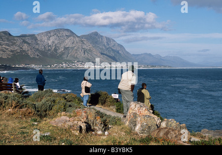 Südafrika, Western Cape, Hermanus. "Wal-Beobachter" auf der Suche nach Southern Right Wale in der Bucht von Hermanus Stockfoto