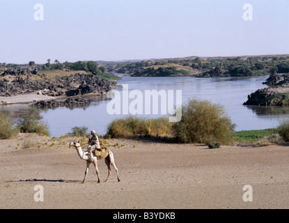 Sudan, Nil, 4. Katarakt. Ein Kamelreiter verläuft in der Nähe einen Abschnitt von Felsen und Stromschnellen auf dem Nil - Shaallal Arraabia oder 4. Katarakt. Dieser Abschnitt des Flusses wird im Jahr 2008 überflutet werden, ein riesiger arabischen finanzierter, Chinesen gebaut, Hydro-elektrische Damm abgeschlossen sein wird. Bereits haben einige Dörfer wieder befunden, Fernen Land bewässert. Stockfoto