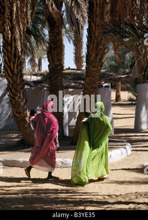 Sudan, Wüste Sahara, nubischen Frauen in bunten Kleidung gehen unter Dattelpalmen in Old Dongola. Stockfoto